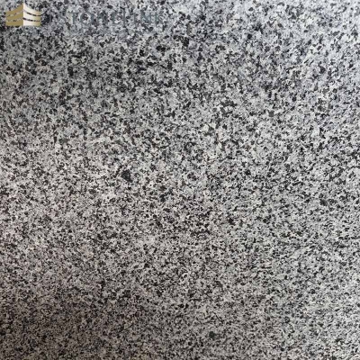 G654 Sesame Gray granite wall cladding tile